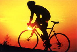 自行车运动的健康益处，骑行，健康生活的最佳伴侣